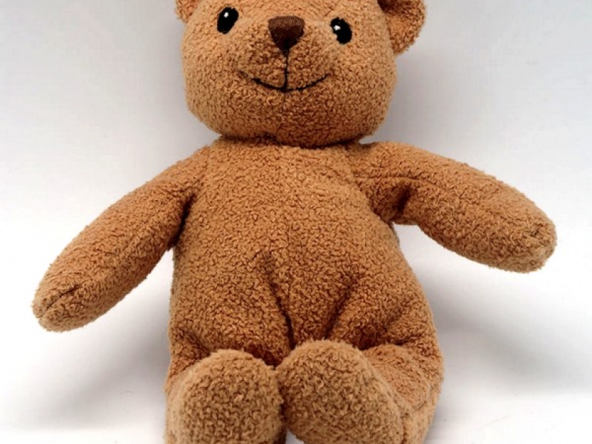 Pourquoi la journée du nounours est-elle célèbre