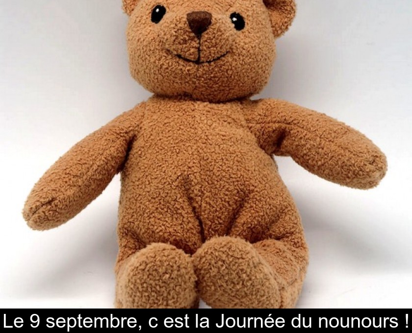 Le 9 septembre, c'est la Journée du nounours !