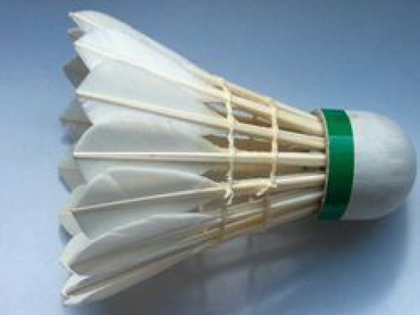 Le badminton : le sport le plus pratiqué en Asie Le badminton : le sport le plus pratiqué en Asie