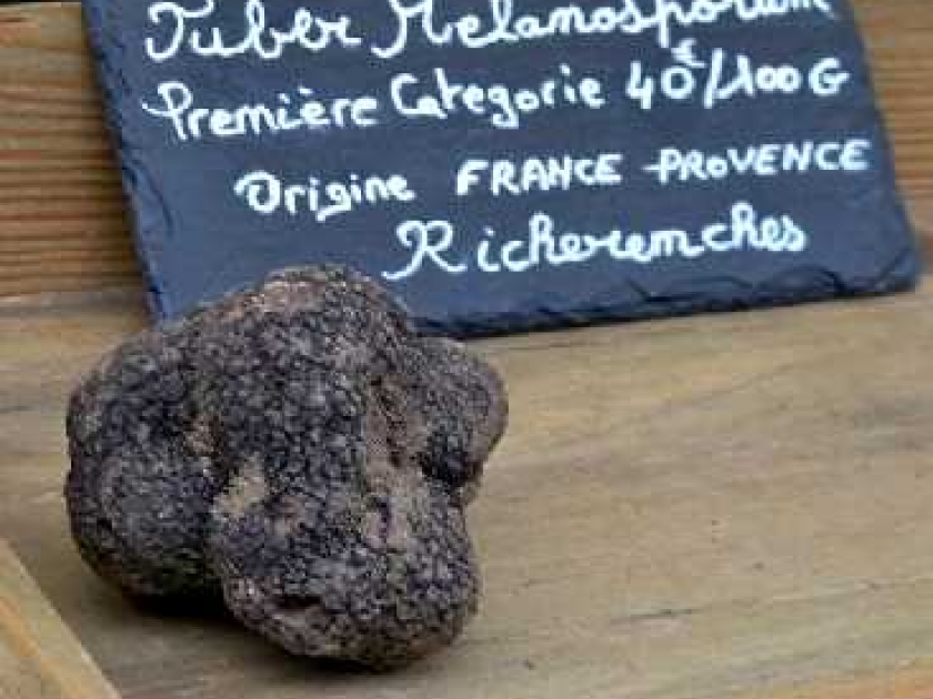 Le Ban des truffes : un rendez-vous festif et gourmet à Richerenches Le Ban des truffes : un rendez-vous festif et gourmet à Richerenches