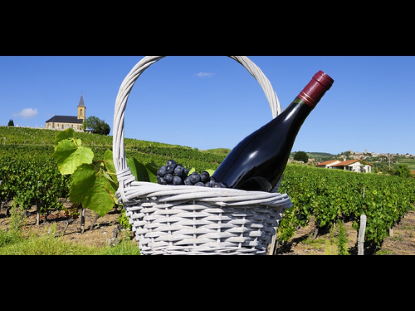 Le beaujolais nouveau, un vin au succès international Le beaujolais nouveau, un vin au succès international