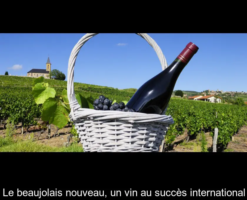 Le beaujolais nouveau, un vin au succès international