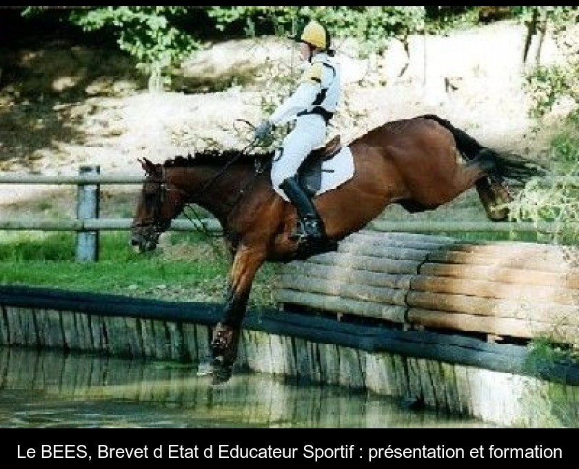 Le BEES, Brevet d'Etat d'Educateur Sportif : présentation et formation Le BEES, Brevet d'Etat d'Educateur Sportif : présentation et formation