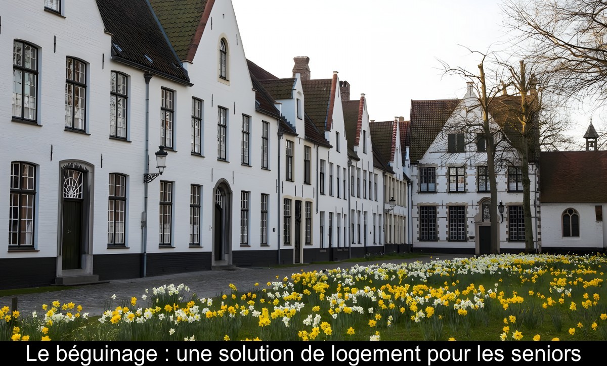 Le béguinage : une solution de logement pour les seniors