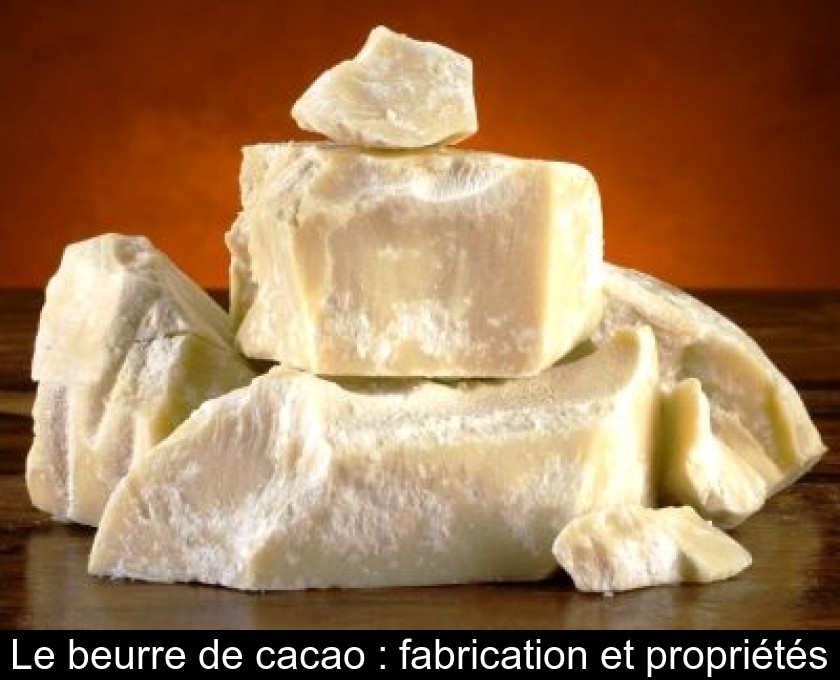 Le beurre de cacao : fabrication et propriétés Le beurre de cacao : fabrication et propriétés