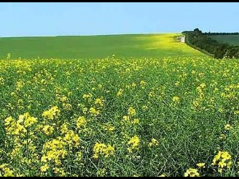 Le biogaz : une énergie renouvelable prometteuse Le biogaz : une énergie renouvelable prometteuse