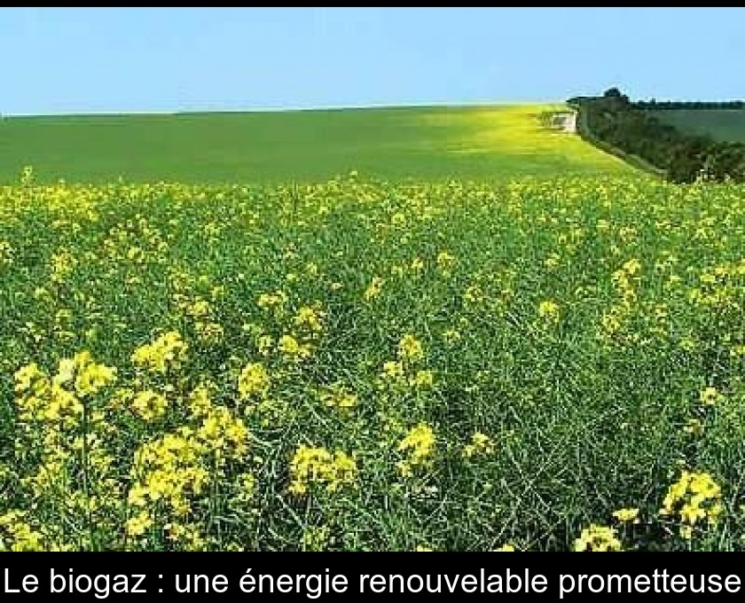 Le biogaz : une énergie renouvelable prometteuse Le biogaz : une énergie renouvelable prometteuse