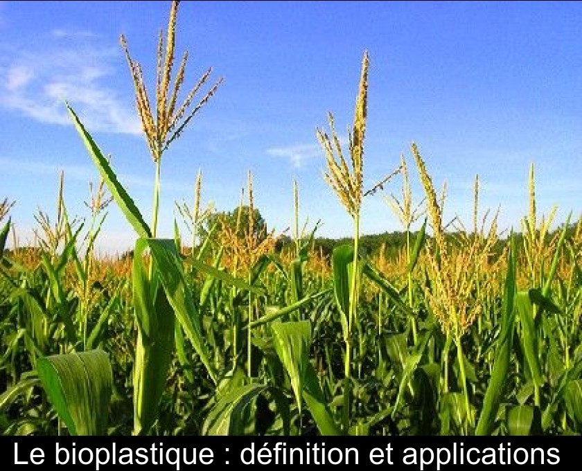 Le bioplastique : définition et applications Le bioplastique : définition et applications