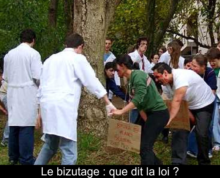 Le bizutage : que dit la loi ? Le bizutage : que dit la loi ?