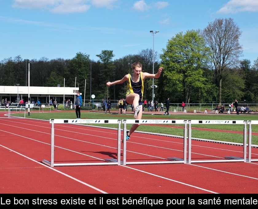 Le bon stress existe et il est bénéfique pour la santé mentale