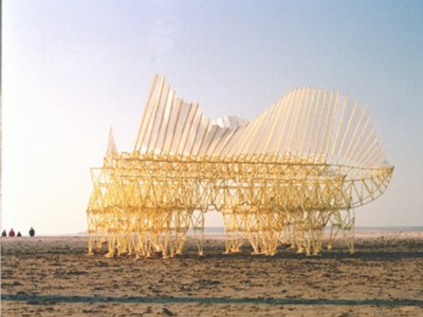 Le bord des mondes : une exposition insolite au Palais de Tokyo Le bord des mondes : une exposition insolite au Palais de Tokyo