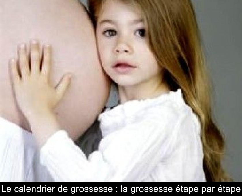 Le calendrier de grossesse : la grossesse étape par étape Le calendrier de grossesse : la grossesse étape par étape