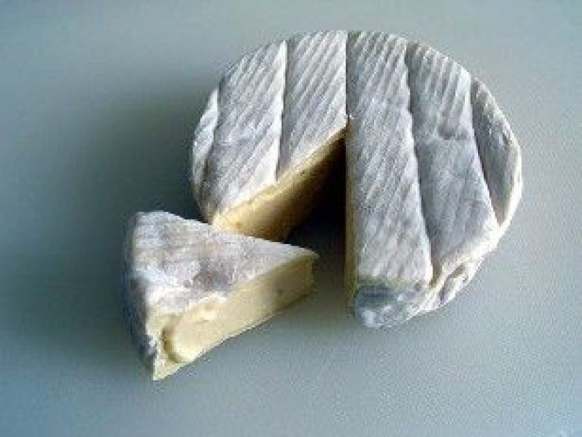 Le camembert, fleuron du terroir normand Le camembert, fleuron du terroir normand