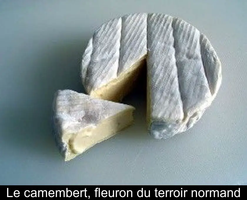 Le camembert, fleuron du terroir normand