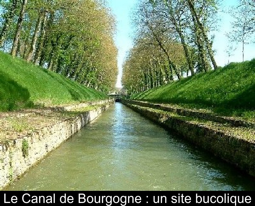 Le Canal de Bourgogne : un site bucolique Le Canal de Bourgogne : un site bucolique