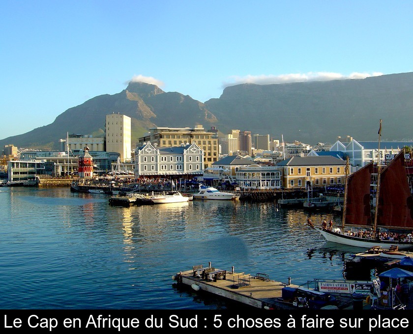 Le Cap en Afrique du Sud : 5 choses à faire sur place