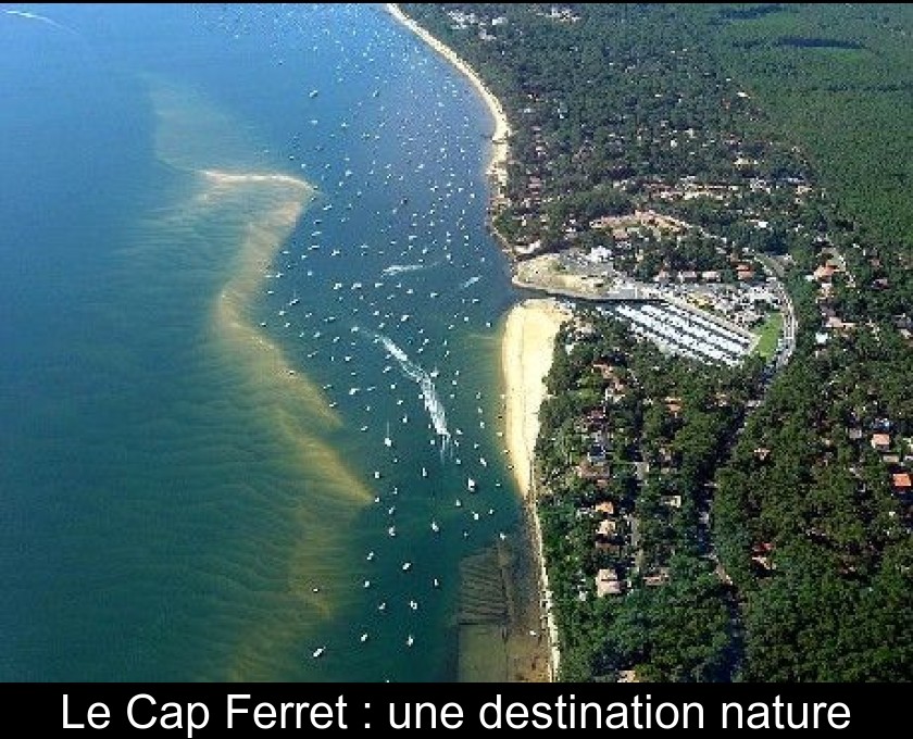 Le Cap Ferret : une destination nature