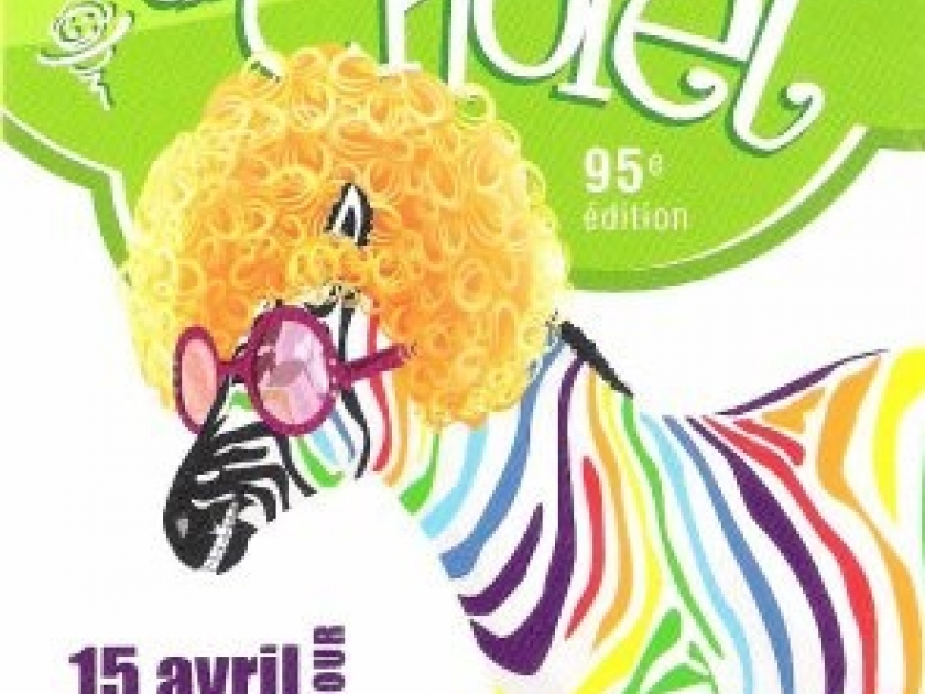 Le Carnaval de Cholet : une féerie lumineuse Le Carnaval de Cholet : une féerie lumineuse
