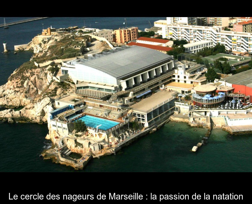 Le cercle des nageurs de Marseille : la passion de la natation Le cercle des nageurs de Marseille : la passion de la natation