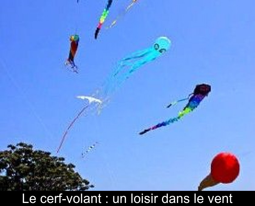 Le cerf-volant : un loisir dans le vent