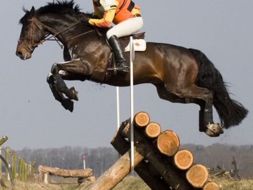 Le Concours complet d'équitation : une sorte de triathlon équestre Le Concours complet d'équitation : une sorte de triathlon équestre