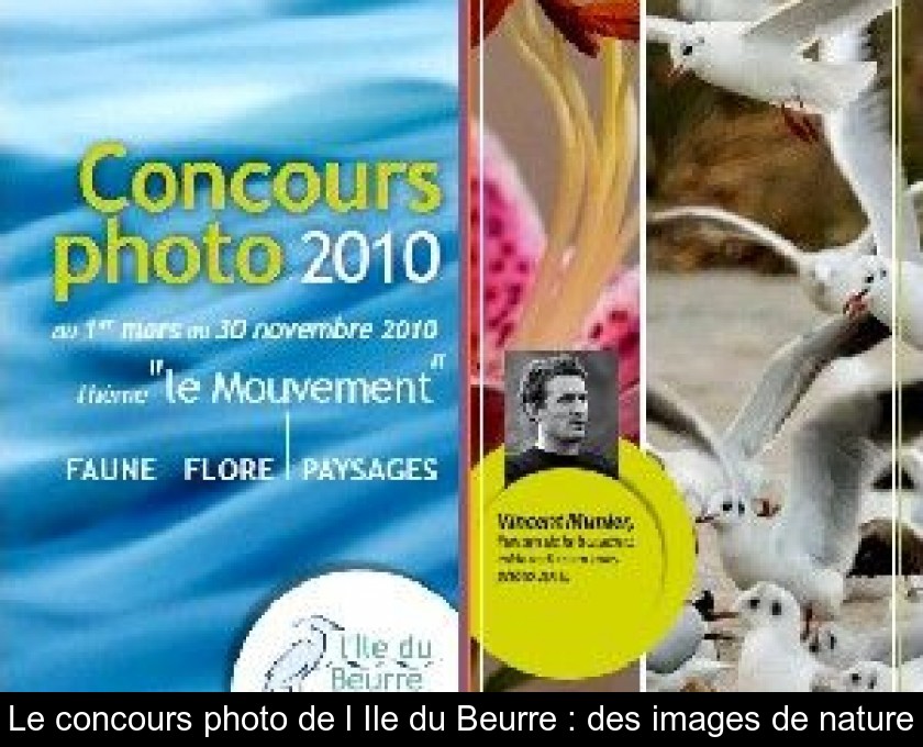 Le concours photo de l'Ile du Beurre : des images de nature