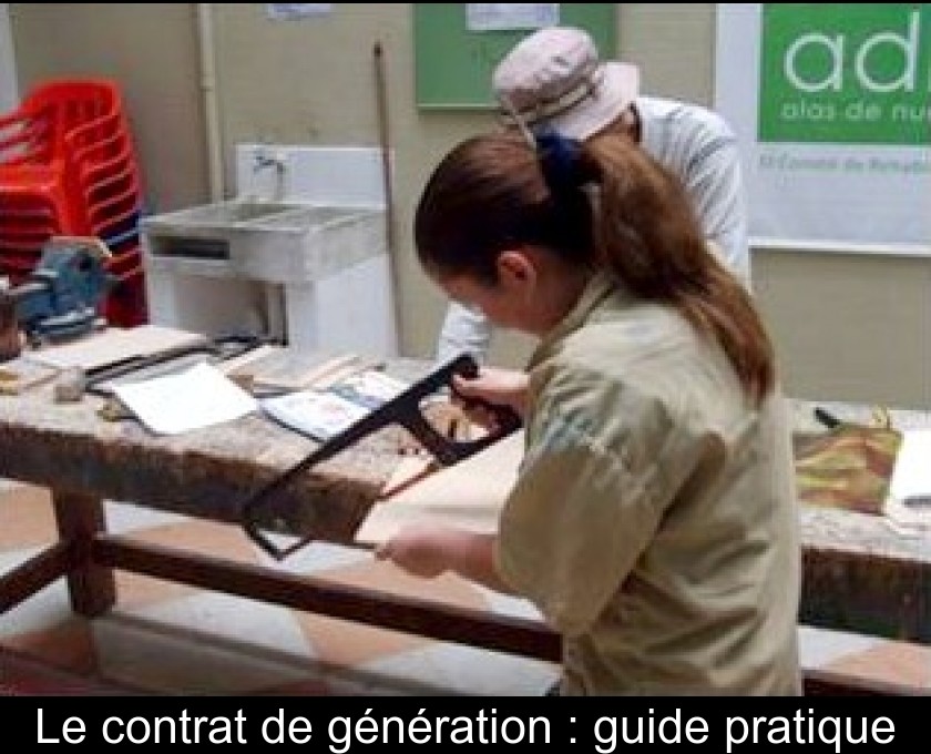 Le contrat de génération : guide pratique Le contrat de génération : guide pratique