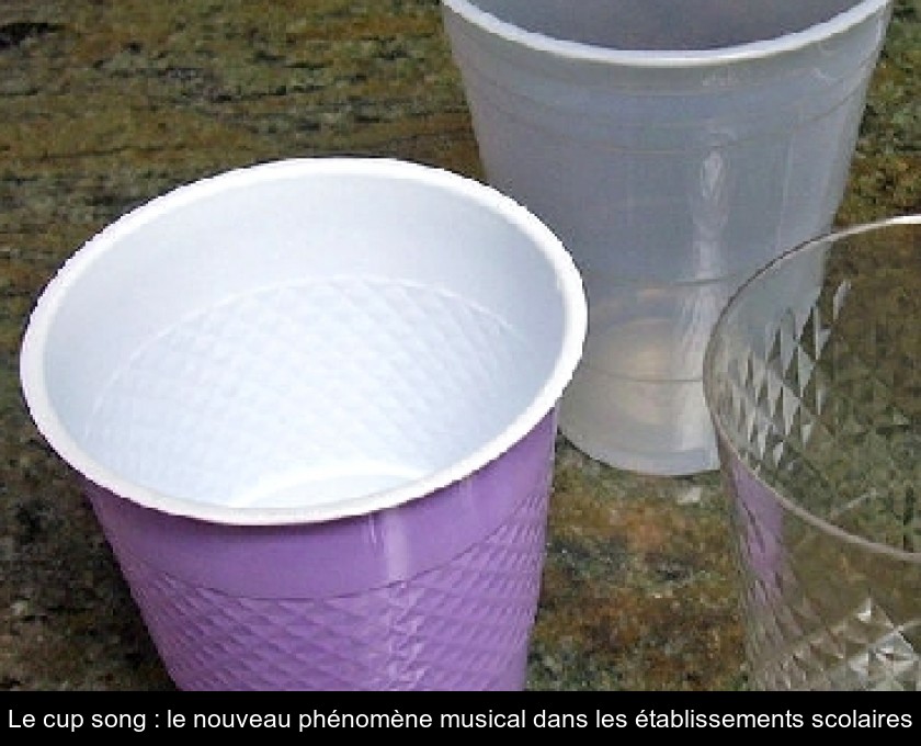 Le cup song : le nouveau phénomène musical dans les établissements scolaires Le cup song : le nouveau phénomène musical dans les établissements scolaires