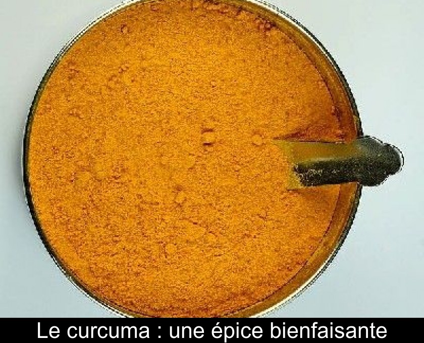 Le curcuma : une épice bienfaisante