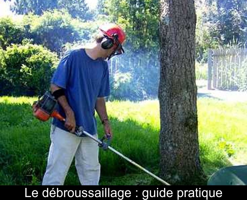 Le débroussaillage : guide pratique Le débroussaillage : guide pratique