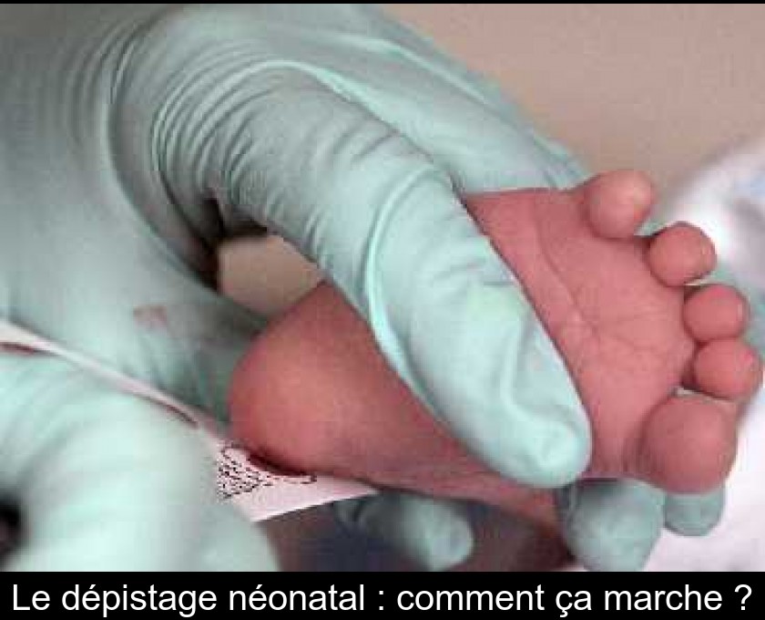 Le dépistage néonatal : comment ça marche ?
