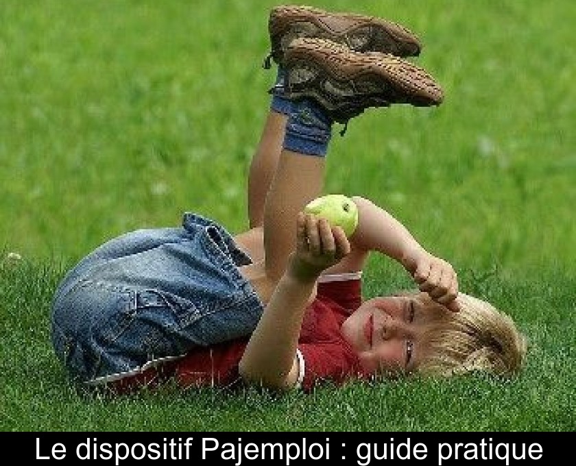 Le dispositif Pajemploi : guide pratique Le dispositif Pajemploi : guide pratique