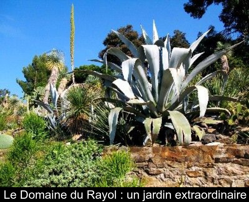 Le Domaine du Rayol : un jardin extraordinaire Le Domaine du Rayol : un jardin extraordinaire