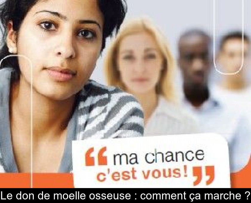 Le don de moelle osseuse : comment ça marche ? Le don de moelle osseuse : comment ça marche ?