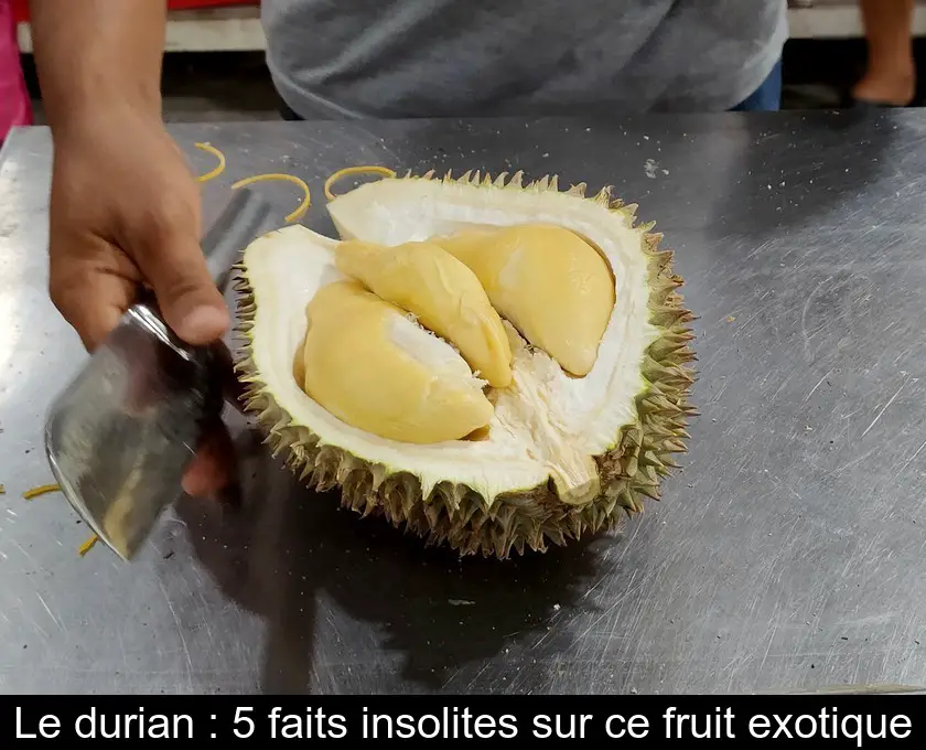 Le durian : 5 faits insolites sur ce fruit exotique