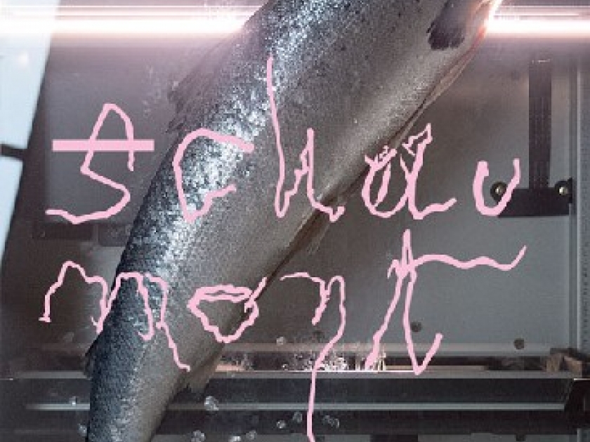 Le Festival de l'affiche et du graphisme : un rendez-vous international à Chaumont Le Festival de l'affiche et du graphisme : un rendez-vous international à Chaumont