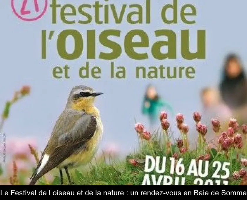 Le Festival de l'oiseau et de la nature : un rendez-vous en Baie de Somme