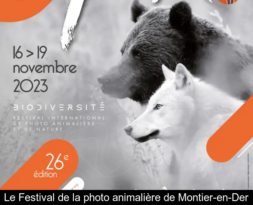 Le Festival de la photo animalière de Montier-en-Der