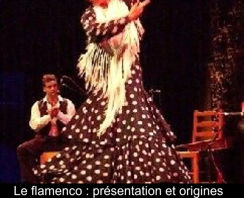 Le flamenco : présentation et origines  