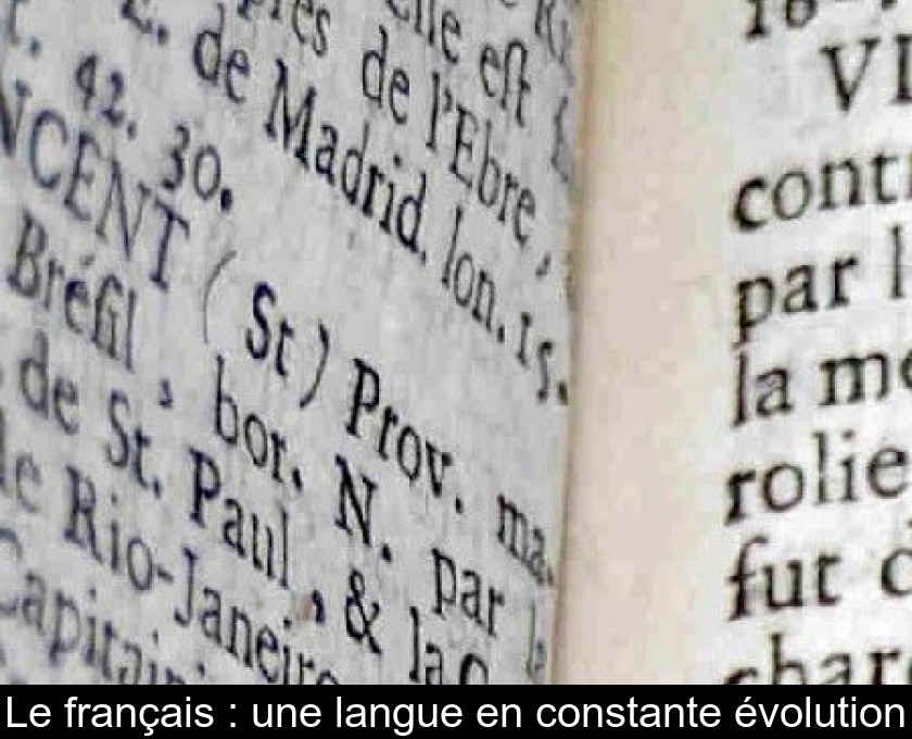 Le français : une langue en constante évolution Le français : une langue en constante évolution
