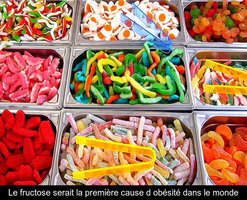 Le fructose serait la première cause d'obésité dans le monde Le fructose serait la première cause d'obésité dans le monde