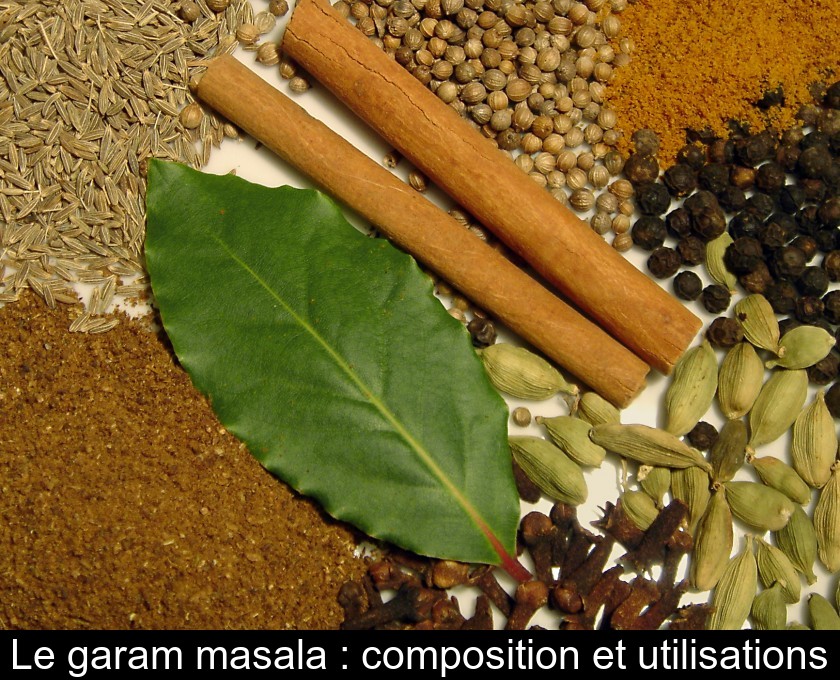 Le garam masala : composition et utilisations