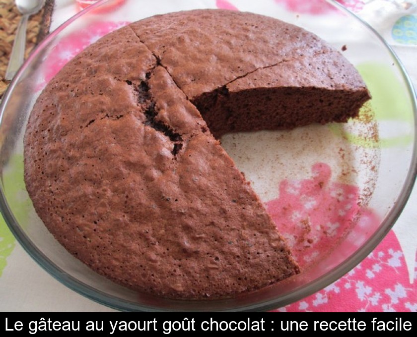 Gâteau au yaourt au cacao : Recette de Gâteau au yaourt au cacao