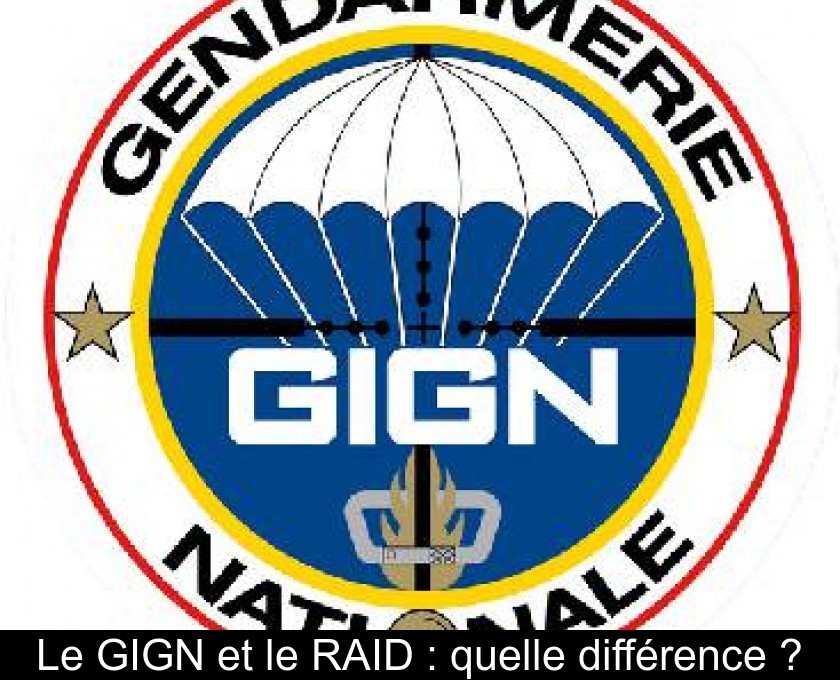 Le GIGN et le RAID : quelle différence ?