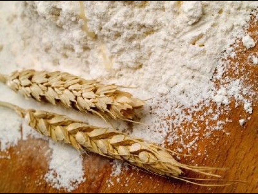 Le gluten et la maladie coeliaque : présentation et prévention Le gluten et la maladie coeliaque : présentation et prévention