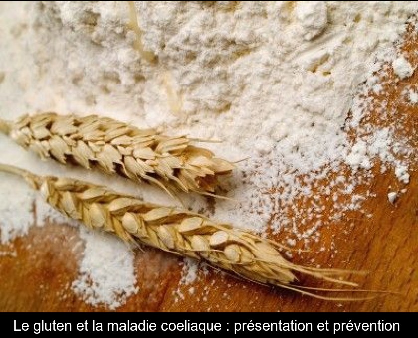 Le gluten et la maladie coeliaque : présentation et prévention Le gluten et la maladie coeliaque : présentation et prévention