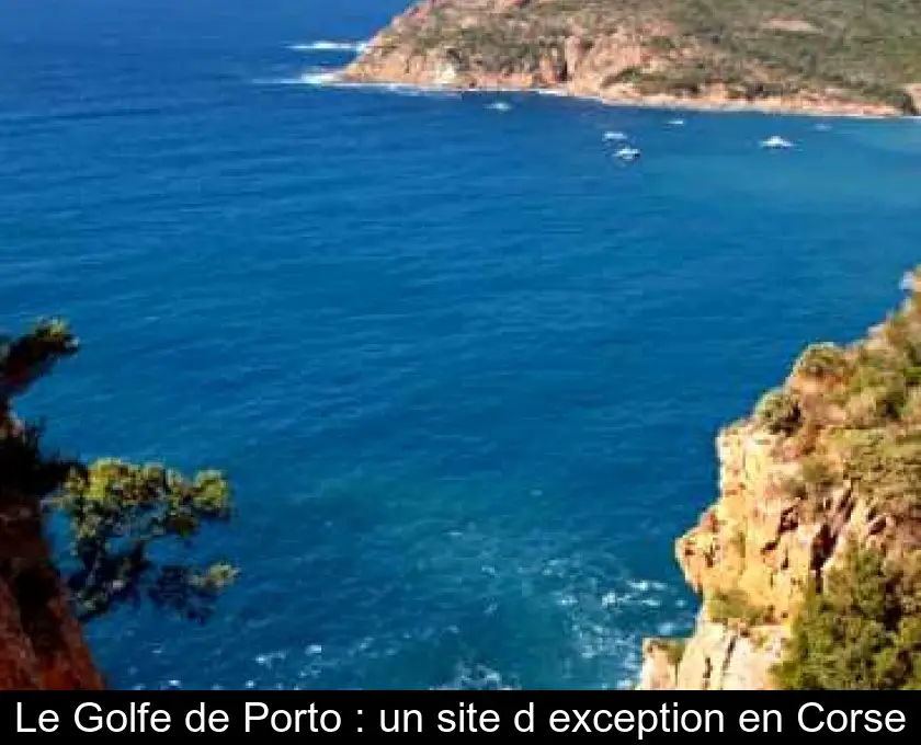 Le Golfe de Porto : un site d'exception en Corse