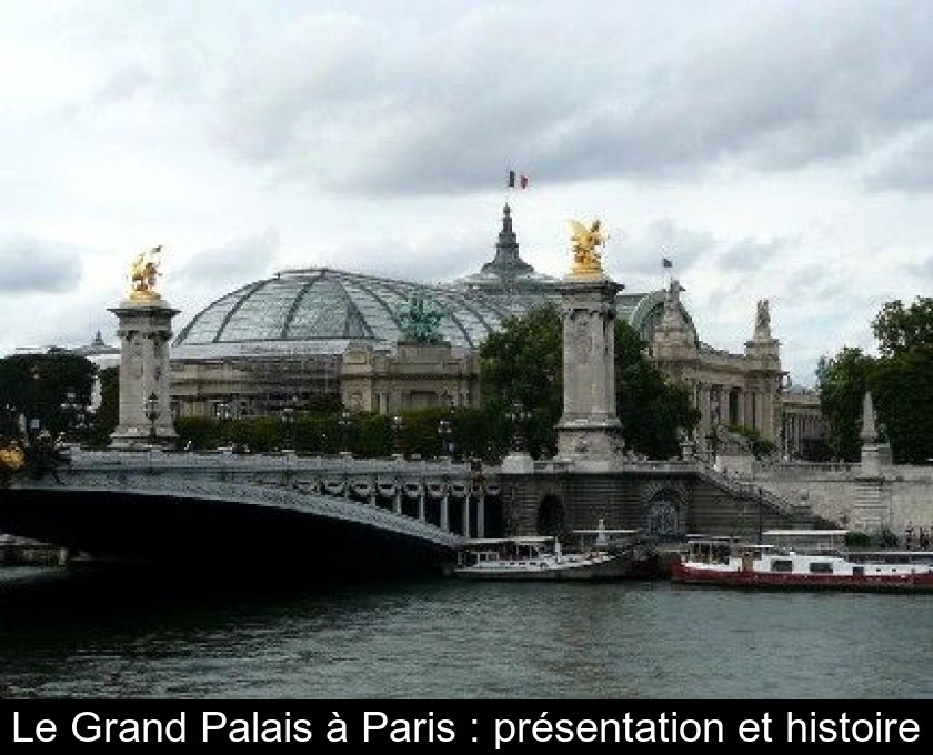 Le Grand Palais à Paris : présentation et histoire