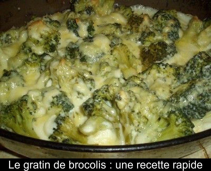 Le gratin de brocolis : une recette rapide Le gratin de brocolis : une recette rapide