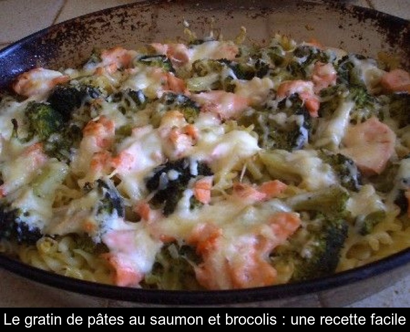 Le gratin de pâtes au saumon et brocolis : une recette facile Le gratin de pâtes au saumon et brocolis : une recette facile